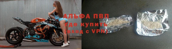 сатива Козловка
