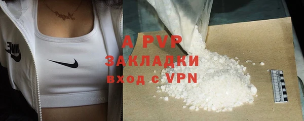сатива Козловка