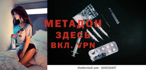 сатива Козловка
