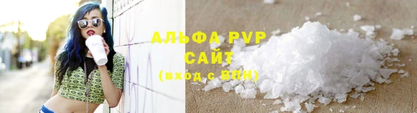 сатива Козловка