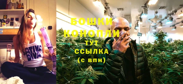 прущие крисы Козельск