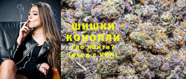 сатива Козловка