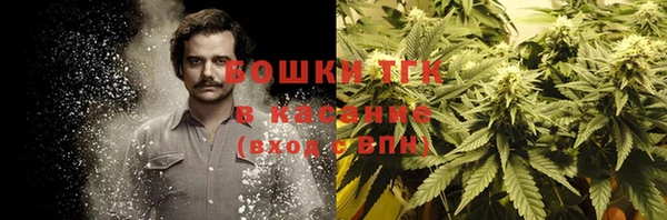 сатива Козловка
