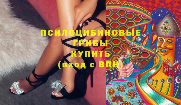 сатива Козловка