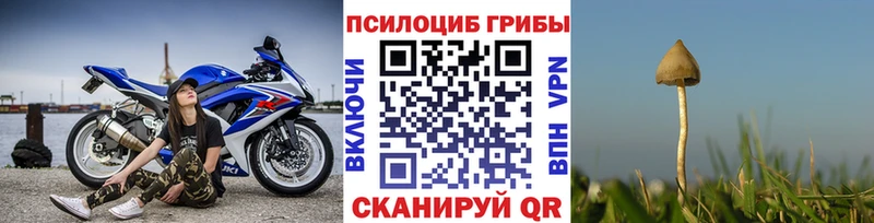 Псилоцибиновые грибы GOLDEN TEACHER  Купить  Долинск 